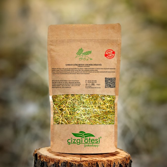 ÇOBAN ÇÖKERTEN (DEMİR DİKENİ)	Tribulus Terrestris	70 gr