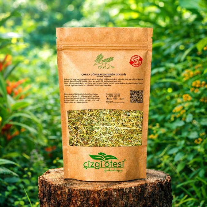 ÇOBAN ÇÖKERTEN (DEMİR DİKENİ)	Tribulus Terrestris	70 gr